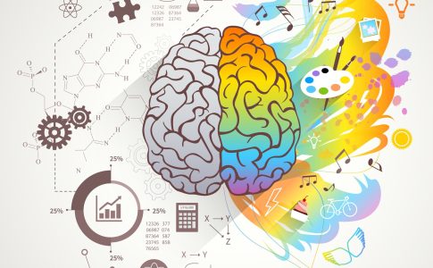 Beynimiz Sağ ve Sol Olarak Ayrılmıyor: Beyin Yarım Küreleri Arasındaki İlişki Bilimle Kanıtlandı Beynimiz Sağ ve Sol Olarak Ayrılmıyor: Beyin Yarım Küreleri Arasındaki İlişki Bilimle Kanıtlandı